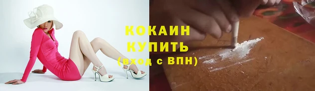 дживик Алзамай