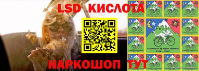 ECSTASY Бийск
