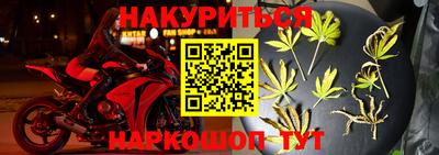 ECSTASY Бийск