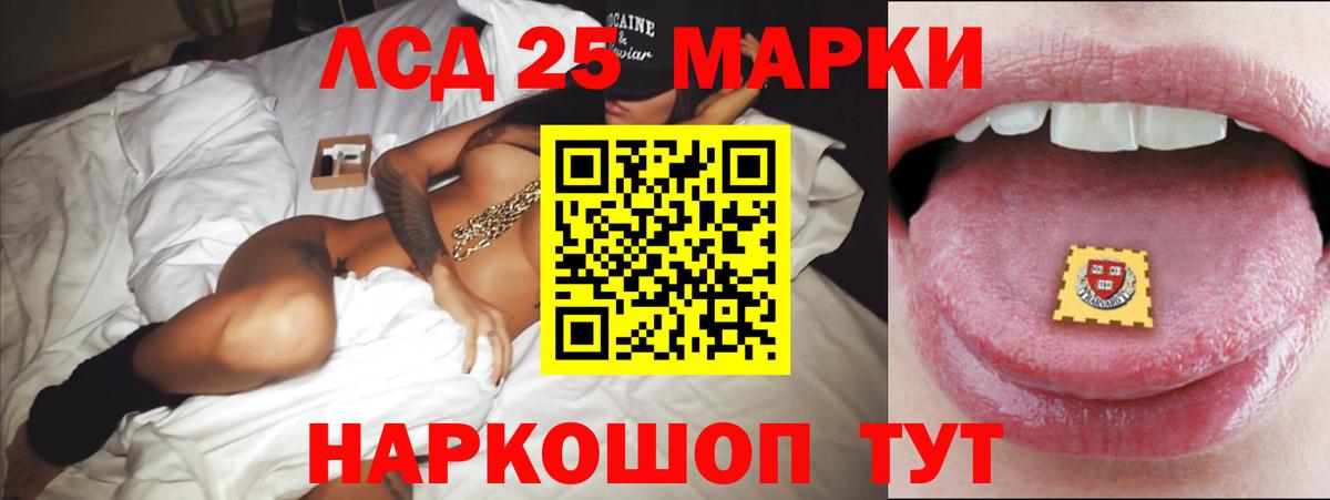 Лсд 25 экстази ecstasy  Вход с VPN  Бердск  LSD-25 экстази  ЛСД экстази ecstasy 