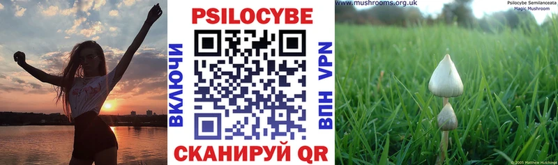 Галлюциногенные грибы Magic Shrooms  blacksprut tor  Бердск 