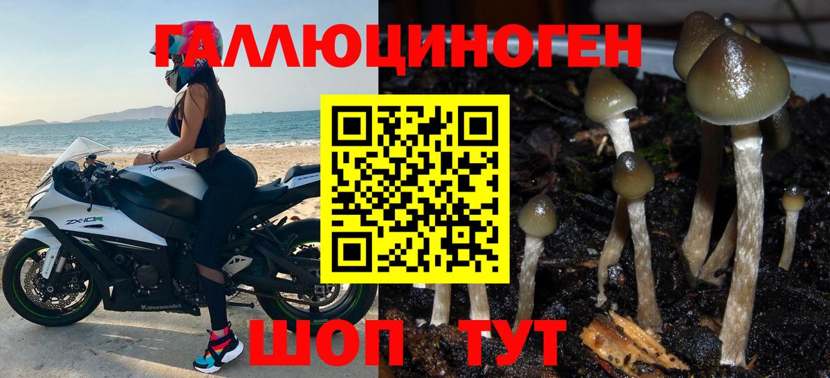 Псилоцибиновые грибы Magic Shrooms Бердск
