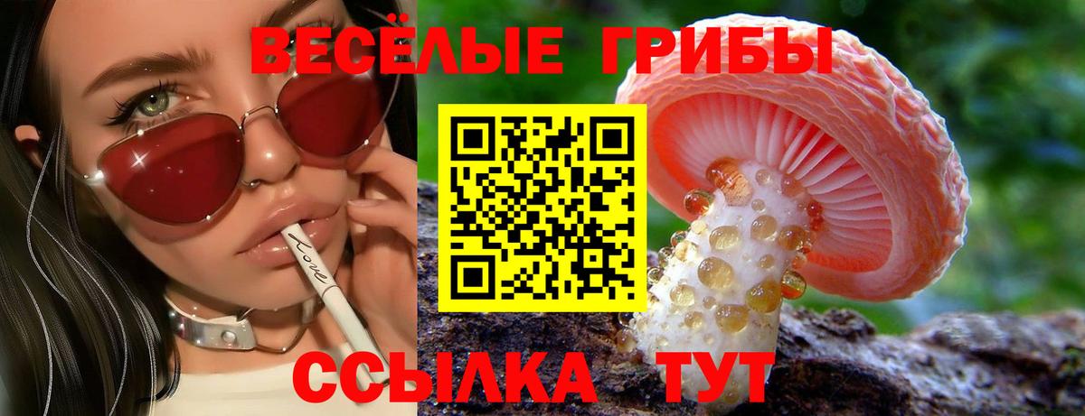 Бердск  Галлюциногенные грибы GOLDEN TEACHER  Вход с VPN 